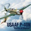 Academy 12341 1/48 USAAF P40N Warhawk Battle Of Imphal Plastic Model Kit With Australian Decals