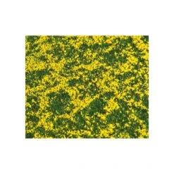 Faller Landscape Segment Rape Field