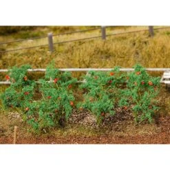 Faller 18 Tomato Plants