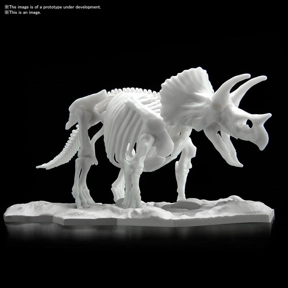 Bandai DINOSAUR MODEL KIT LIMEX SKELETON Triceratops 1 Bandai DINOSAUR MODEL KIT LIMEX SKELETON Triceratops
