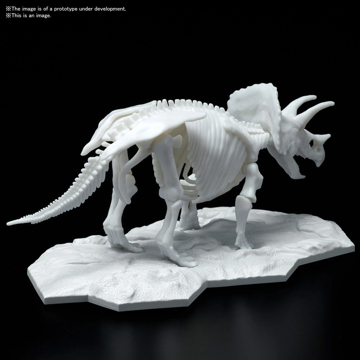 Bandai DINOSAUR MODEL KIT LIMEX SKELETON Triceratops 5 Bandai DINOSAUR MODEL KIT LIMEX SKELETON Triceratops - Image 5