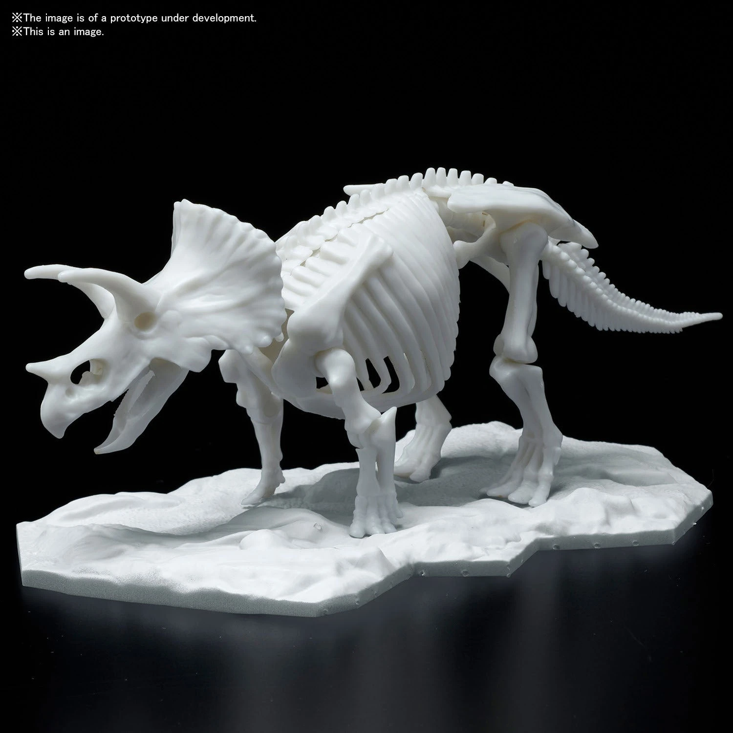 Bandai DINOSAUR MODEL KIT LIMEX SKELETON Triceratops 4 Bandai DINOSAUR MODEL KIT LIMEX SKELETON Triceratops - Image 4