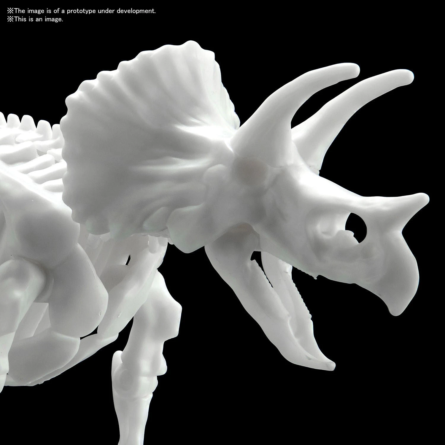 Bandai DINOSAUR MODEL KIT LIMEX SKELETON Triceratops 3 Bandai DINOSAUR MODEL KIT LIMEX SKELETON Triceratops - Image 3