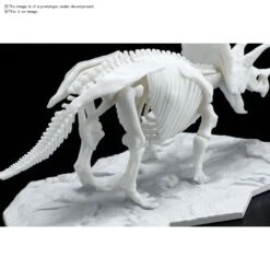 Bandai DINOSAUR MODEL KIT LIMEX SKELETON Triceratops 12 Bandai DINOSAUR MODEL KIT LIMEX SKELETON Triceratops -Model Toy Store G5061660 5