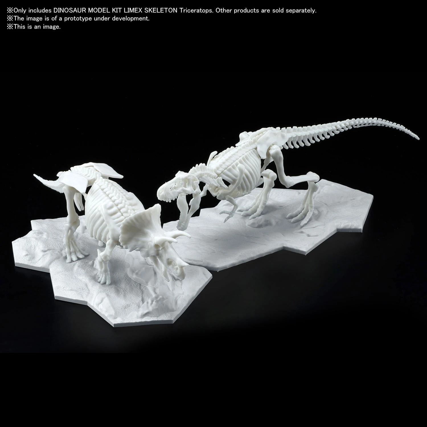 Bandai DINOSAUR MODEL KIT LIMEX SKELETON Triceratops 7 Bandai DINOSAUR MODEL KIT LIMEX SKELETON Triceratops - Image 7